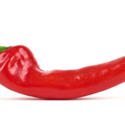 wellhealthorganic.com: Red-Chilli-You-Should-Know-About-Red-Chilli-Uses-Benefits-Side-Effects