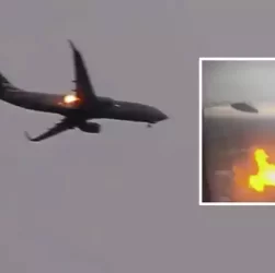 American Airlines Plane Catches Fire After Bird Strike, Video Goes Viral