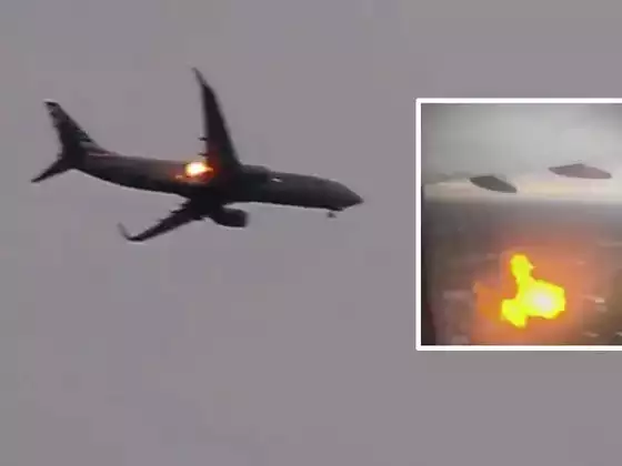 American Airlines Plane Catches Fire After Bird Strike, Video Goes Viral