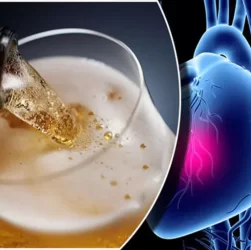 wellhealthorganic.com:alcohol-consumption-good-for-heart-health-new-study-says-no