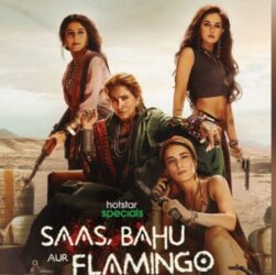 Saas Bahu Aur Flamingo series