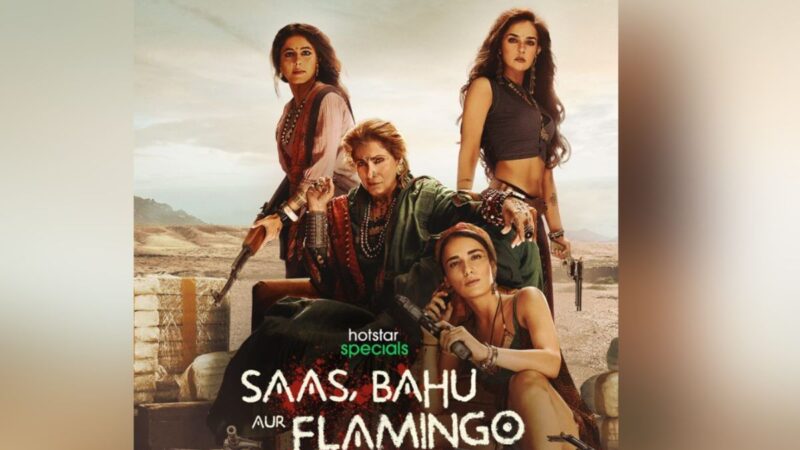 Saas Bahu Aur Flamingo series