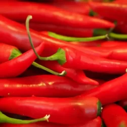 wellhealthorganic.com:red-chilli-you-should-know-about-red-chilli-uses-benefits-side-effects