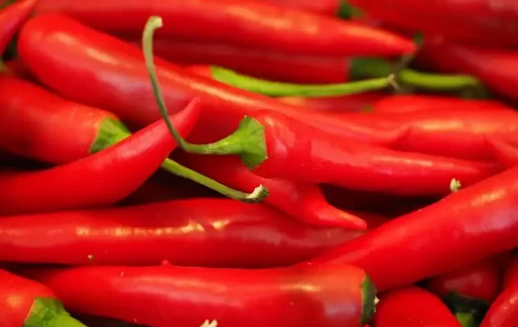 wellhealthorganic.com:red-chilli-you-should-know-about-red-chilli-uses-benefits-side-effects