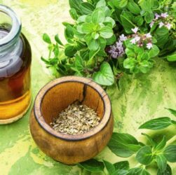 wellhealthorganic.com:health-benefits-and-side-effects-of-oil-of-oregano