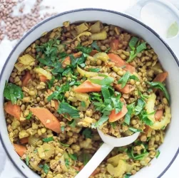 wellhealthorganic.com:ayurveda-dinner