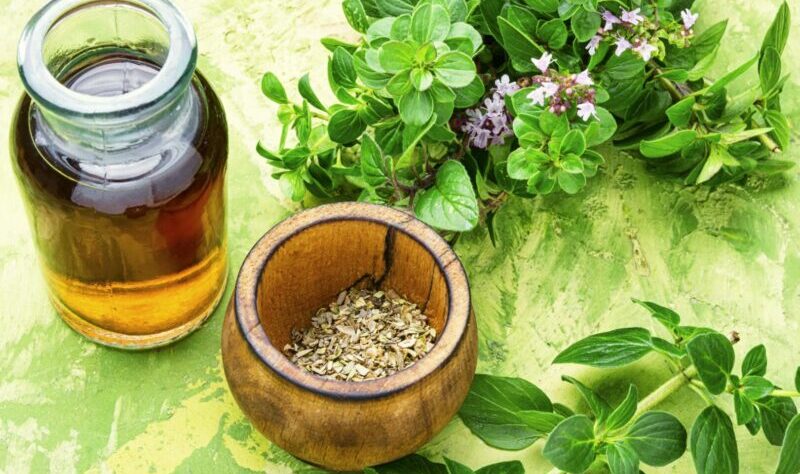 wellhealthorganic.com:health-benefits-and-side-effects-of-oil-of-oregano