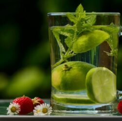 wellhealthorganic.com:how-detox-water-works-in-reducing-weight