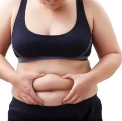 wellhealthorganic.com:belly-fat-9-best-ayurvedic-remedies-to-reduce-belly-fat