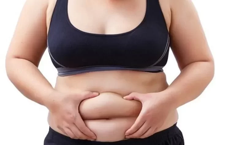 wellhealthorganic.com:belly-fat-9-best-ayurvedic-remedies-to-reduce-belly-fat