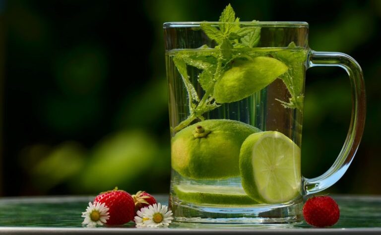 wellhealthorganic.com:how-detox-water-works-in-reducing-weight