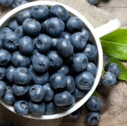 wellhealthorganic.com : 10-best-ways-to-use-blueberries