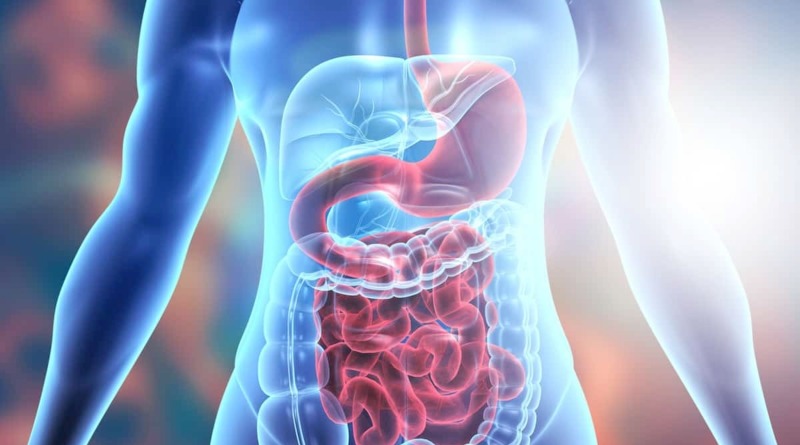 Wellhealthorganic.com Simple Ways to Improve Digestive System in Hindi