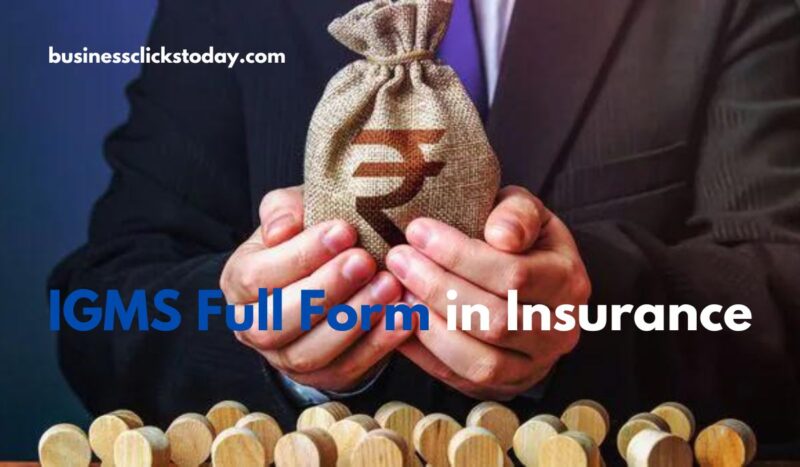 IGMS Full Form in Insurance