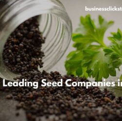 Leading Seed Companies in India